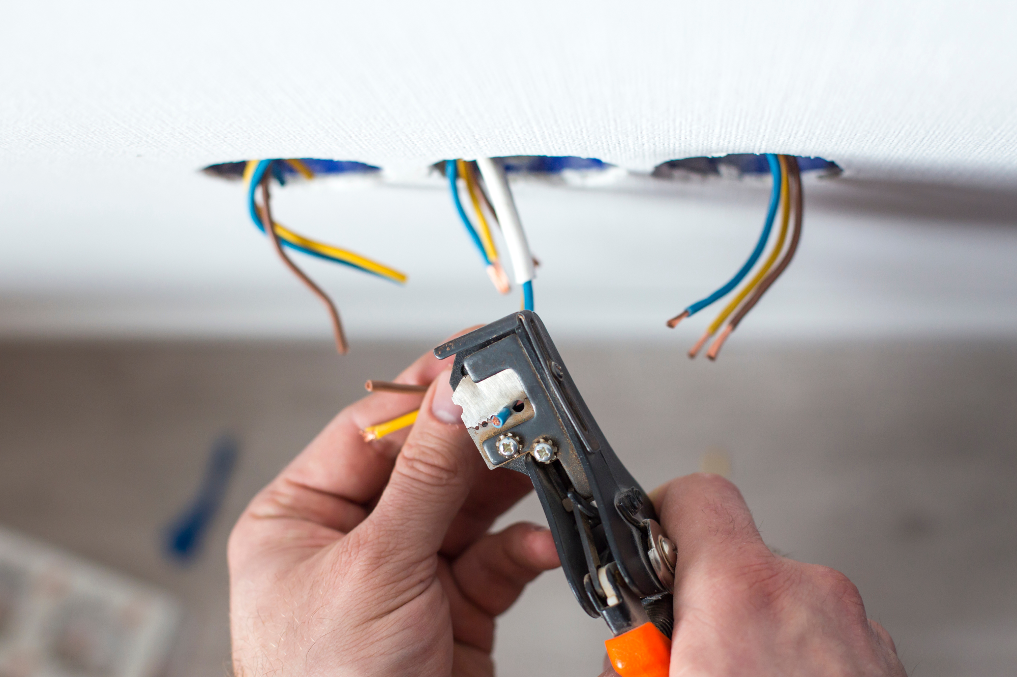 256366119_1027667387794594_1702725919688759861_n Domestic Rewires